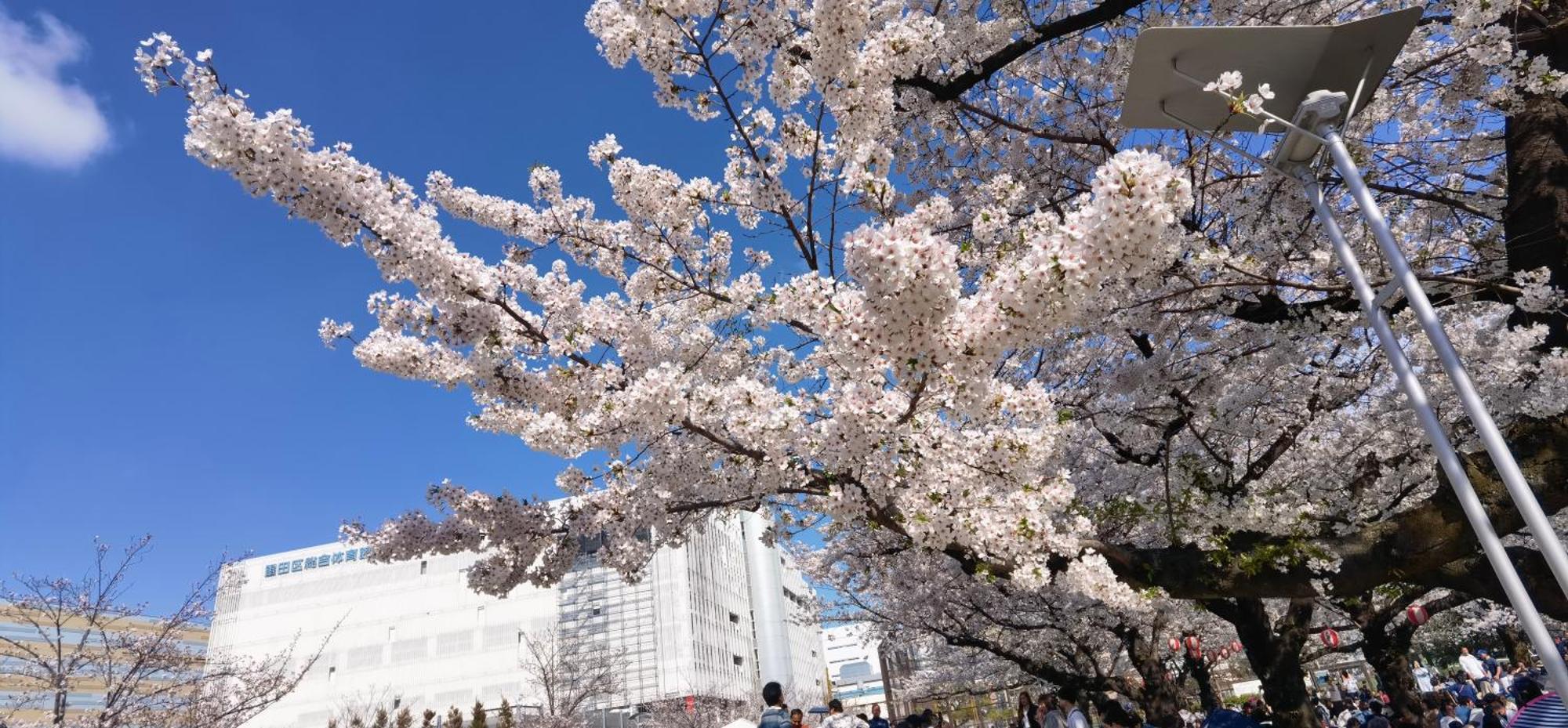 Ferienwohnung 明月楼三零二 Präfektur Tokio Exterior foto